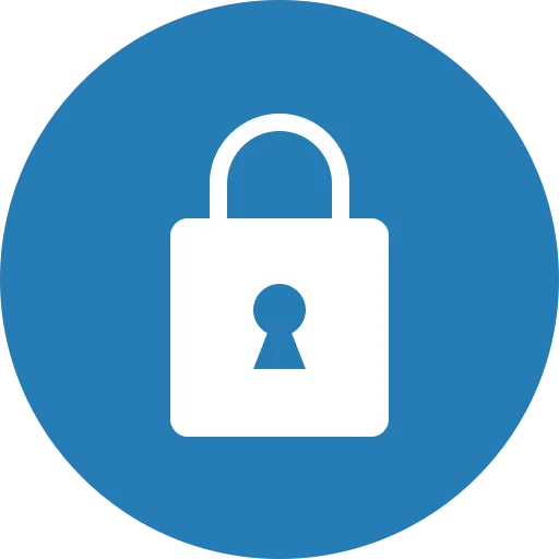 Privacy and security icon